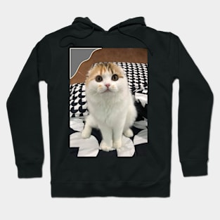 The little cute cats fold Hoodie